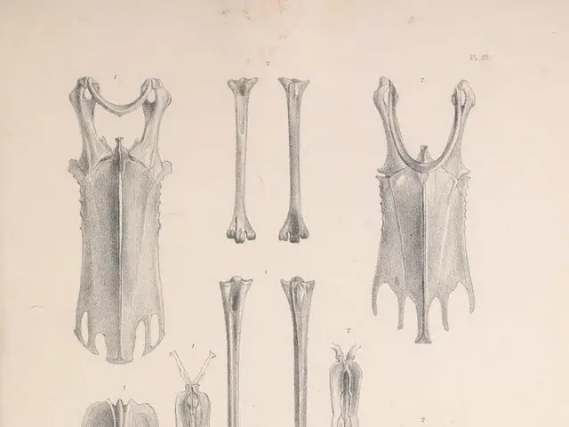 Remains discovered at Filderstadt's periphery